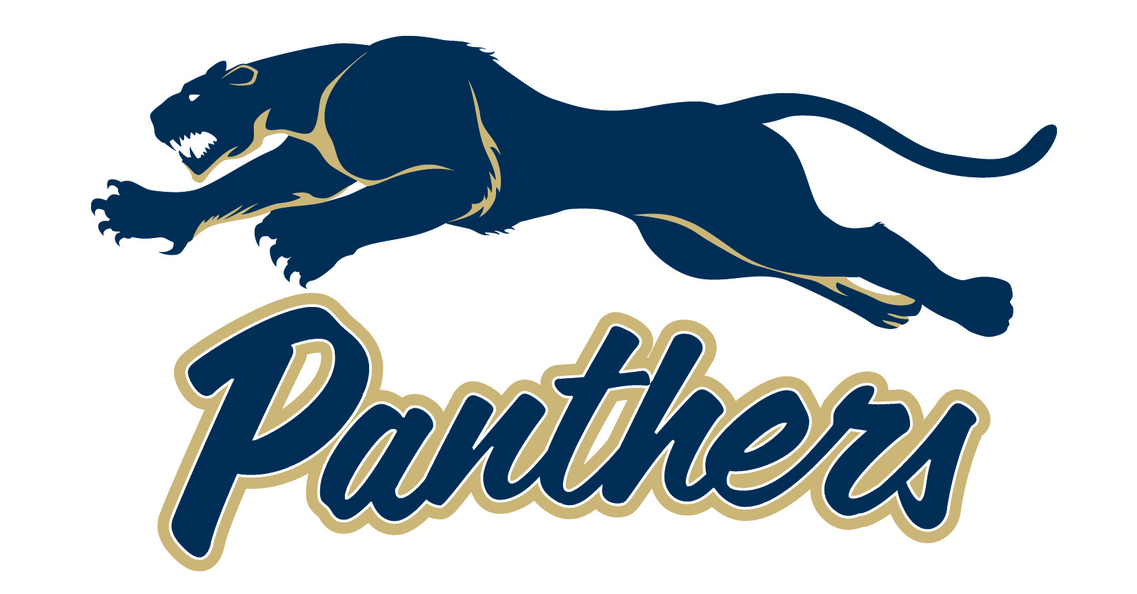 Panthers Men's Basketball wins opener - John Paul II CHS Athletics